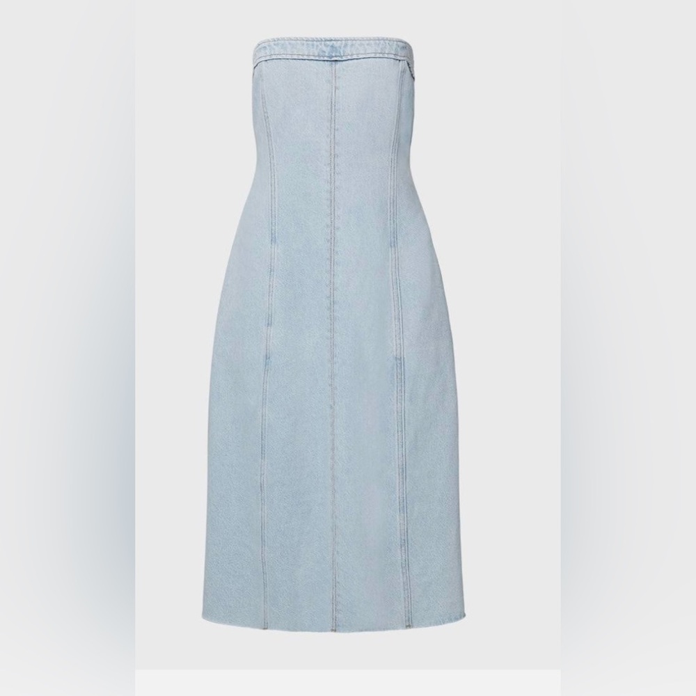 We wore what denim dress